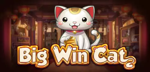Big Win Cat Slot Review